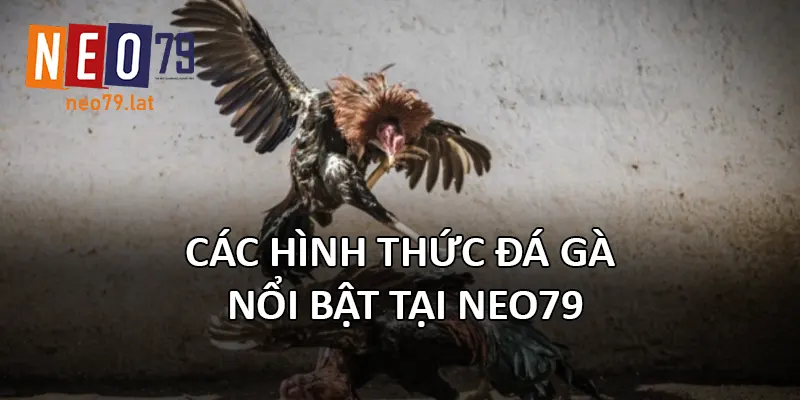 Các hình thức đá gà nổi bật tại NEO79