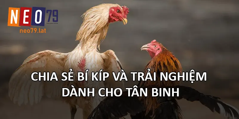 Chia sẻ bí kíp và trải nghiệm dành cho tân binh