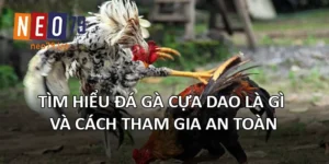 Đá Gà Cựa Dao Là Gì