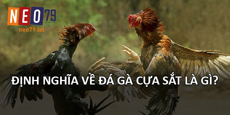 Định nghĩa về Đá Gà Cựa Sắt là gì?