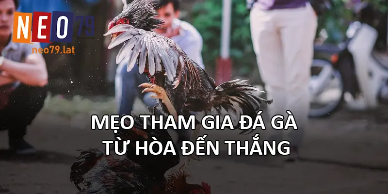 Mẹo tham gia đá gà từ hòa đến thắng