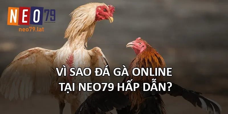 Vì sao đá gà online tại NEO79 hấp dẫn?